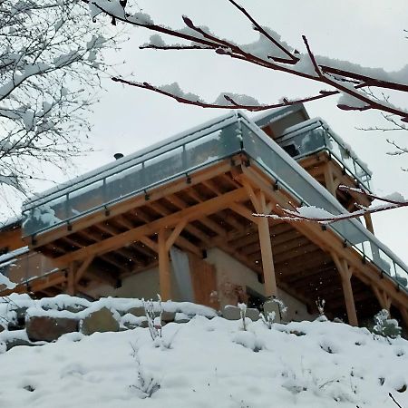 Au Chalet De Jo Muhlbach-sur-Munster Dış mekan fotoğraf