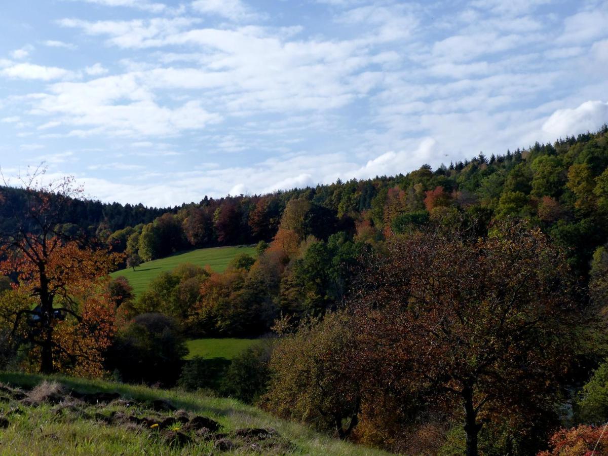 Au Chalet De Jo Muhlbach-sur-Munster Dış mekan fotoğraf