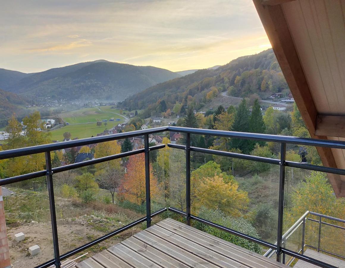 Au Chalet De Jo Muhlbach-sur-Munster Dış mekan fotoğraf