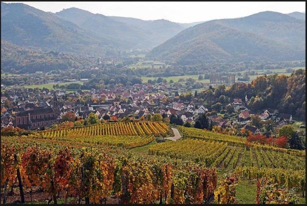 Au Chalet De Jo Muhlbach-sur-Munster Dış mekan fotoğraf