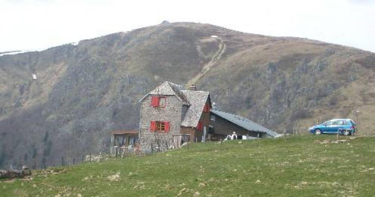 Au Chalet De Jo Muhlbach-sur-Munster Dış mekan fotoğraf