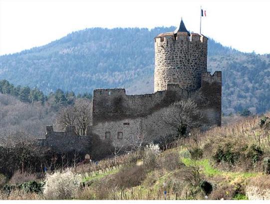 Au Chalet De Jo Muhlbach-sur-Munster Dış mekan fotoğraf