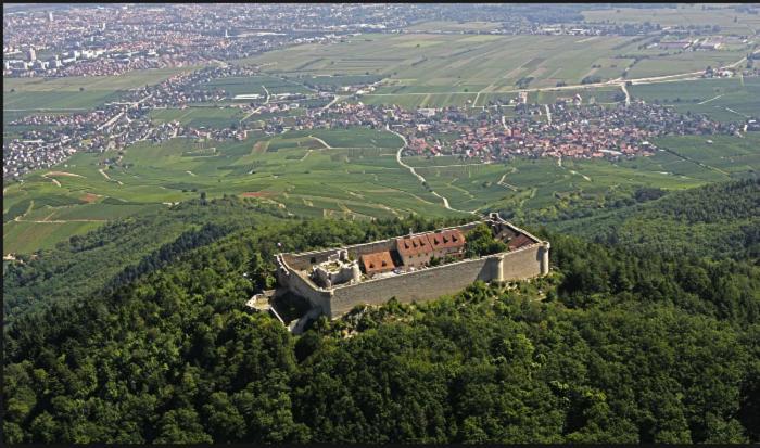 Au Chalet De Jo Muhlbach-sur-Munster Dış mekan fotoğraf