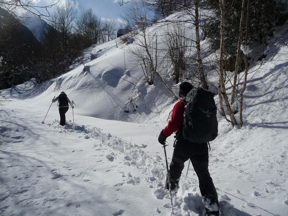 Au Chalet De Jo Muhlbach-sur-Munster Dış mekan fotoğraf