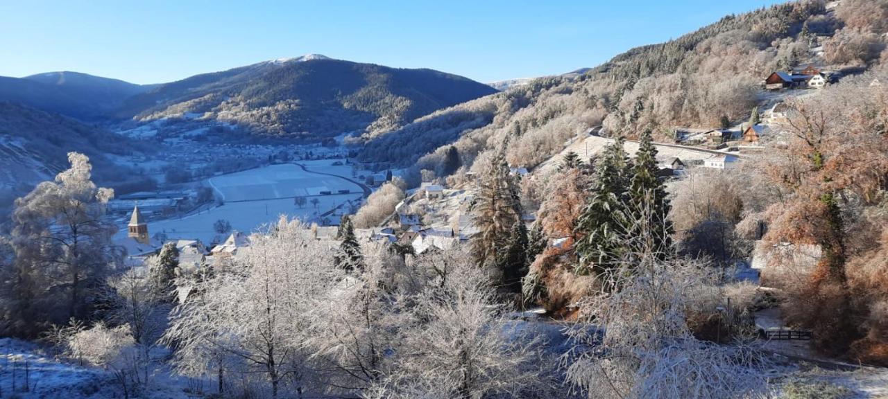 Au Chalet De Jo Muhlbach-sur-Munster Dış mekan fotoğraf