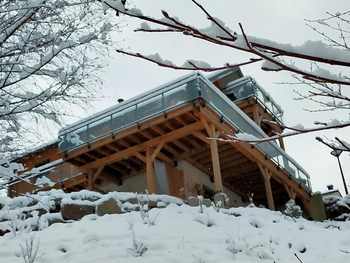 Au Chalet De Jo Muhlbach-sur-Munster Dış mekan fotoğraf