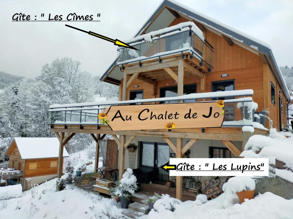 Au Chalet De Jo Muhlbach-sur-Munster Dış mekan fotoğraf