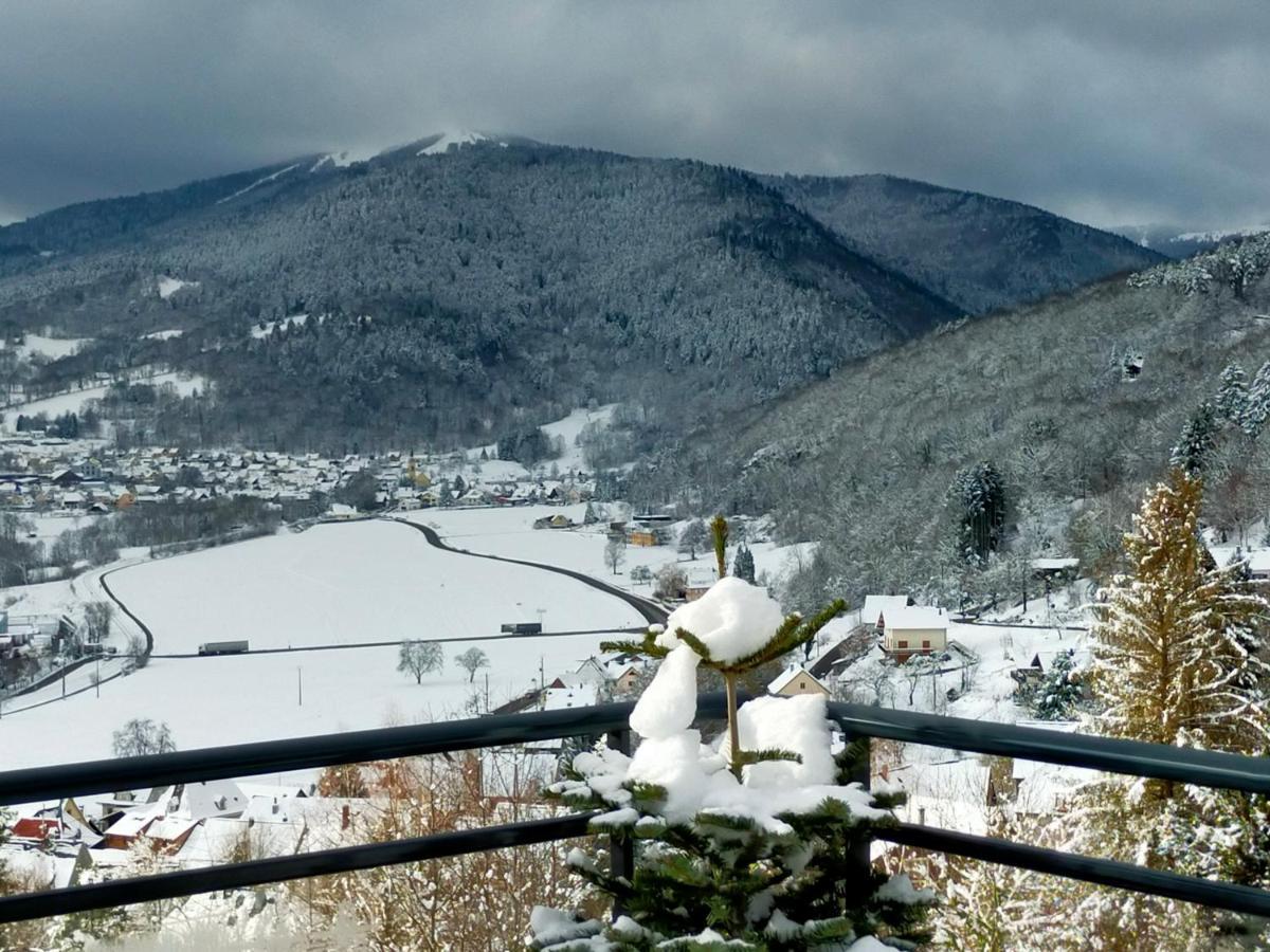 Au Chalet De Jo Muhlbach-sur-Munster Dış mekan fotoğraf
