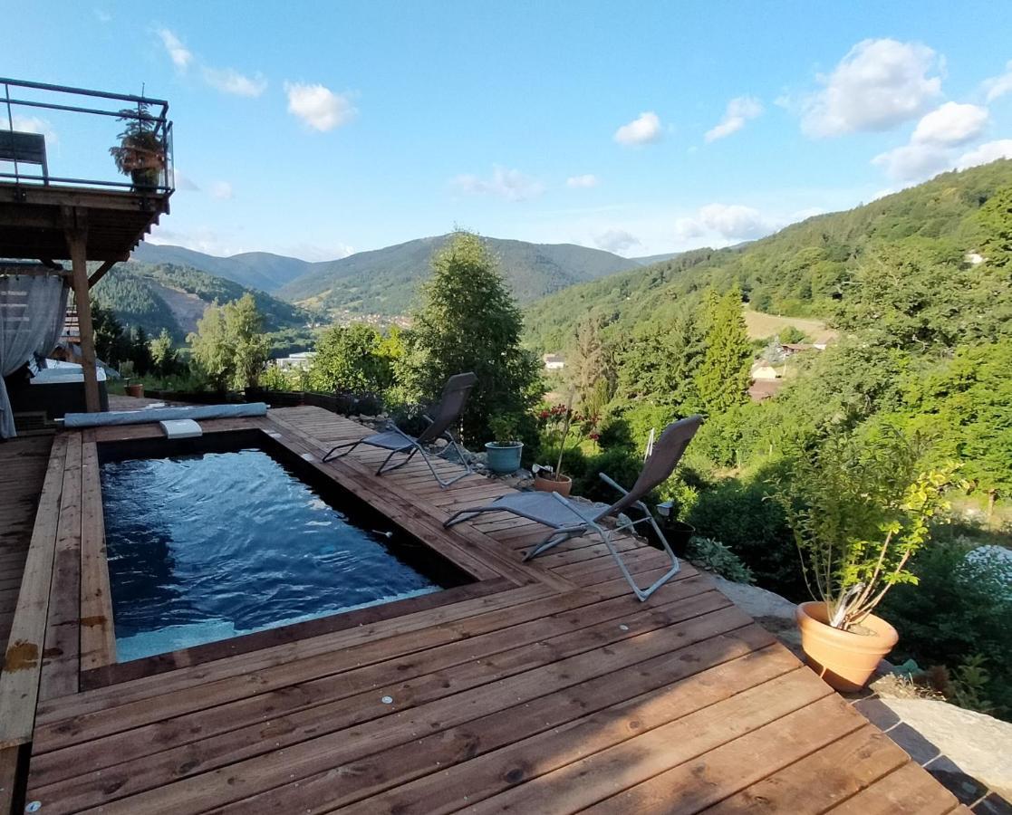 Au Chalet De Jo Muhlbach-sur-Munster Dış mekan fotoğraf